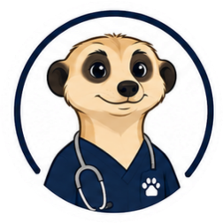 MeerkaTech meerkat mascot